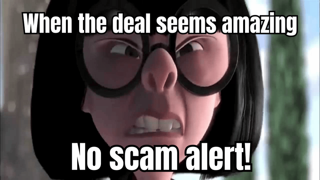 A funny meme about avoiding scams with a caption 