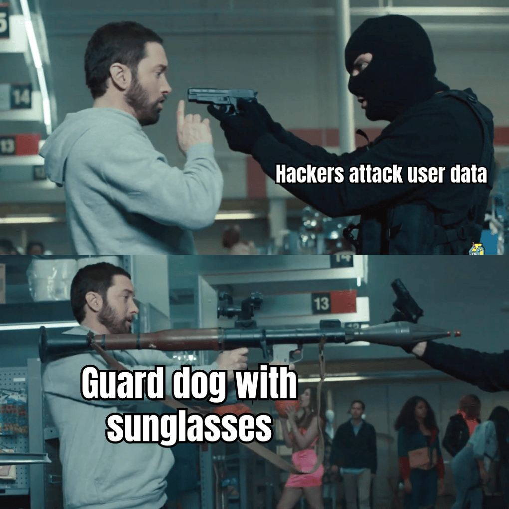 A FUNNY MEME ABOUT STRONG SECURITY MEASURES, SHOWING A CARTOON GUARD DOG WEARING SUNGLASSES AND PROTECTING A COMPUTER LABELED "USER DATA"