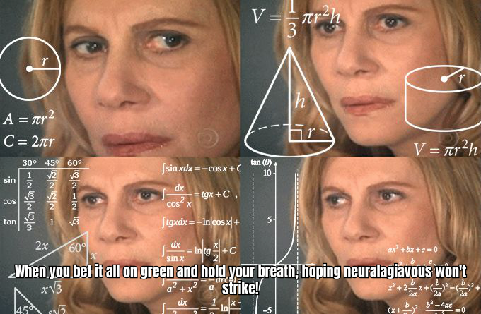 A FUNNY MEME ABOUT THE THRILL OF WATCHING THE ROULETTE WHEEL SPIN, WITH A CAPTION LIKE 