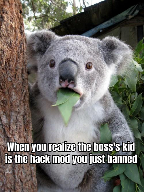 A humorous meme depicting a gamer looking shocked at their computer screen with a giant red 