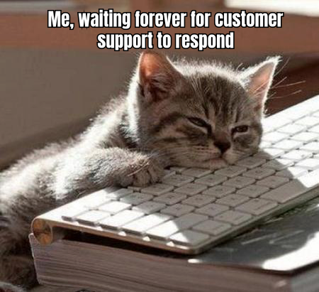A HUMOROUS MEME DEPICTING A SKELETON WAITING AT A COMPUTER, CAPTIONED "STILL WAITING FOR CUSTOMER SUPPORT TO RESPOND"