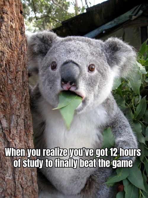 A HUMOROUS MEME SHOWING A PLAYER SURROUNDED BY GAME STRATEGY BOOKS, LOOKING OVERWHELMED BUT DETERMINED TO WIN