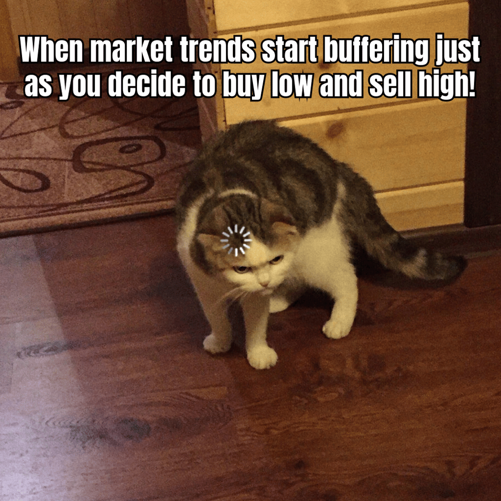 A meme about the unpredictability of market trends with a funny caption about buying low and selling high