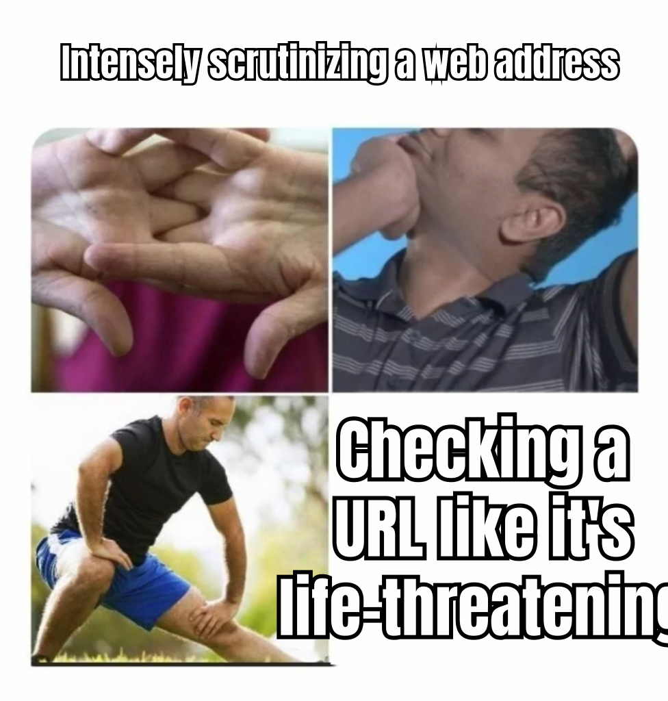 A meme of a person intensely scrutinizing a URL with the caption 