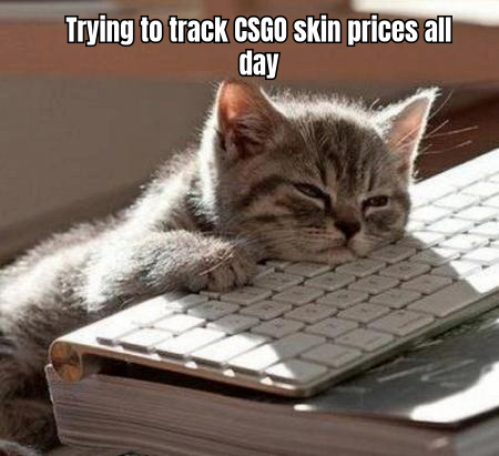 A MEME SHOWING A PERSON SITTING IN FRONT OF MULTIPLE COMPUTER SCREENS, EACH DISPLAYING DIFFERENT CSGO SKIN MARKETPLACES, WITH THE CAPTION 