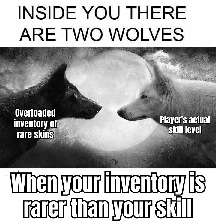 A MEME SHOWING A PLAYER STRUGGLING TO CARRY AN OVERLOADED INVENTORY OF RARE SKINS, WITH THE CAPTION 