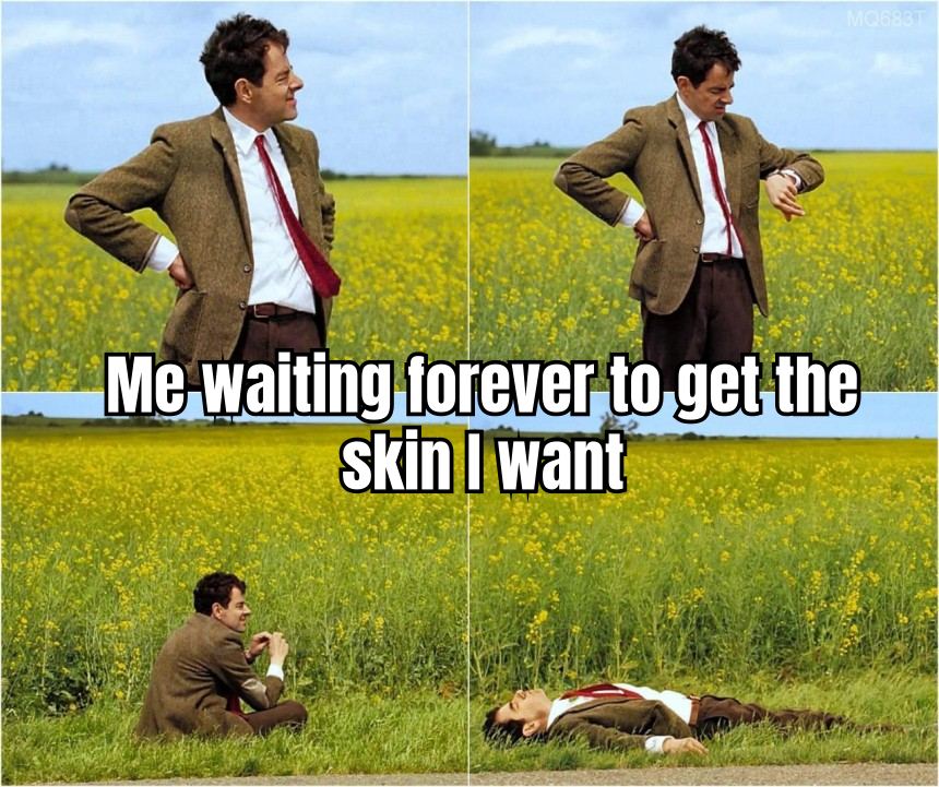 <MEME ABOUT NOT GETTING THE SKIN YOU WANTED, IDEA: A DOG LOOKING DISAPPOINTED NEXT TO A CRATE>